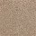 Mohawk Carpet: Elegant Appeal II 12' Dash O' Spice